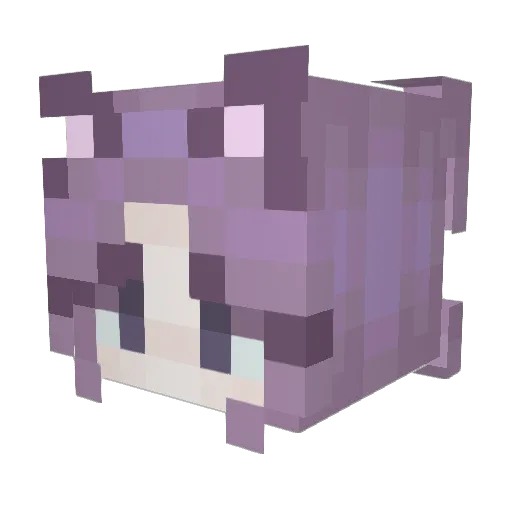 DarthAlt43 Minecraft avatar head, 3D render