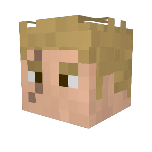 DarthAltus Minecraft avatar head, 3D render