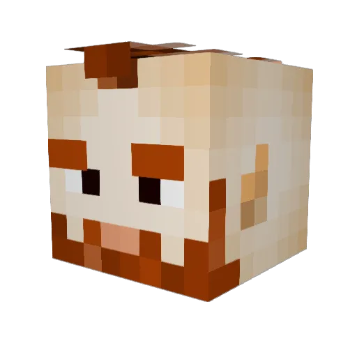 DarthAnvil Minecraft avatar head, 3D render