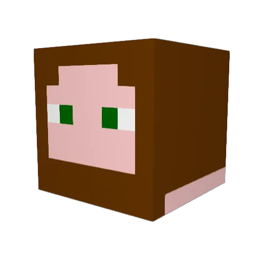 DarthAwes0me Minecraft avatar head, 3D render