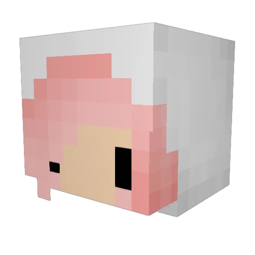 DarthAwesomist Minecraft avatar head, 3D render