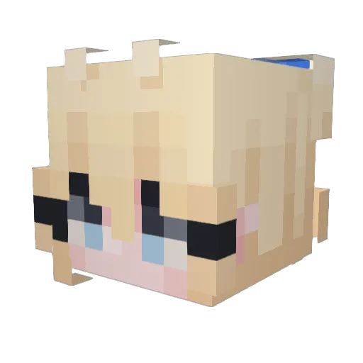 DarthD Minecraft avatar head, 3D render