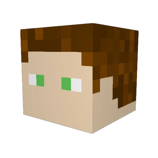 DarthDan770 Minecraft avatar head, 3D render