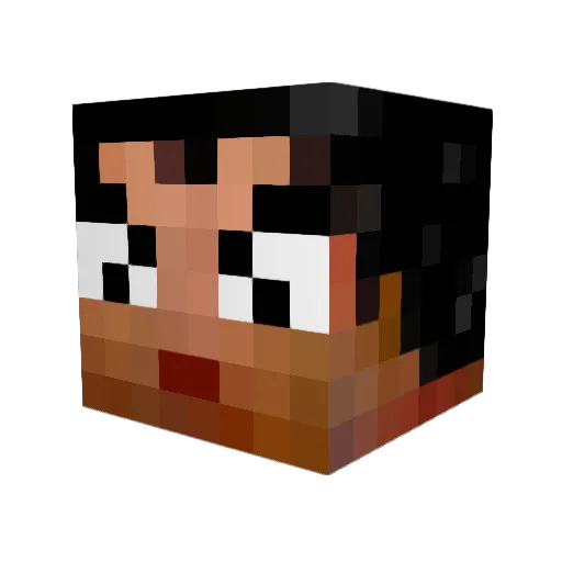 DarthEowyn Minecraft avatar head, 3D render