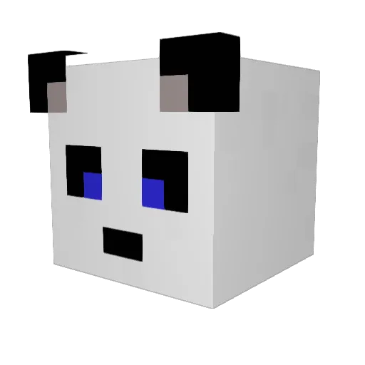 DarthFlop Minecraft avatar head, 3D render