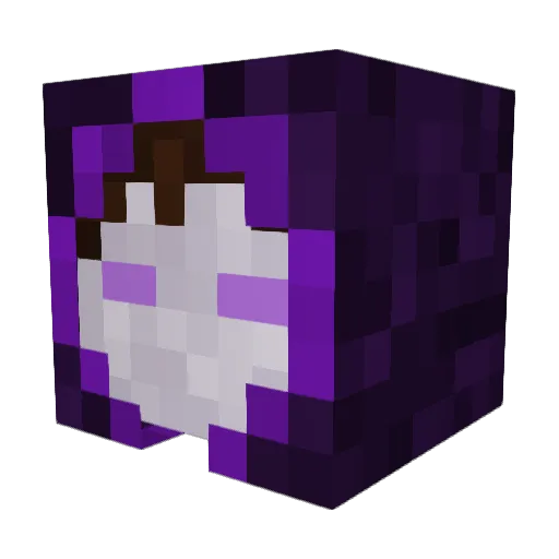 DarthFrosch Minecraft avatar head, 3D render