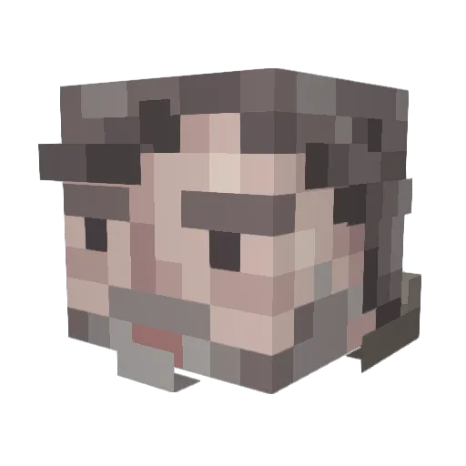 DarthGoofus Minecraft avatar head, 3D render