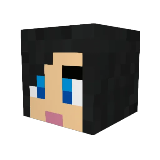 DarthMajin Minecraft avatar head, 3D render