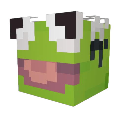 DarthPigeonn Minecraft avatar head, 3D render