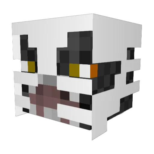 DarthPoggster Minecraft avatar head, 3D render