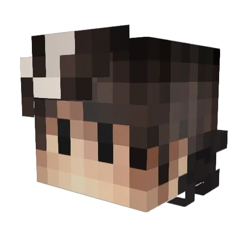 DarthRaider8180 Minecraft avatar head, 3D render