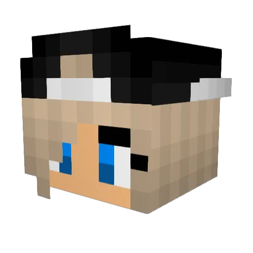 DarthRaven_ Minecraft avatar head, 3D render