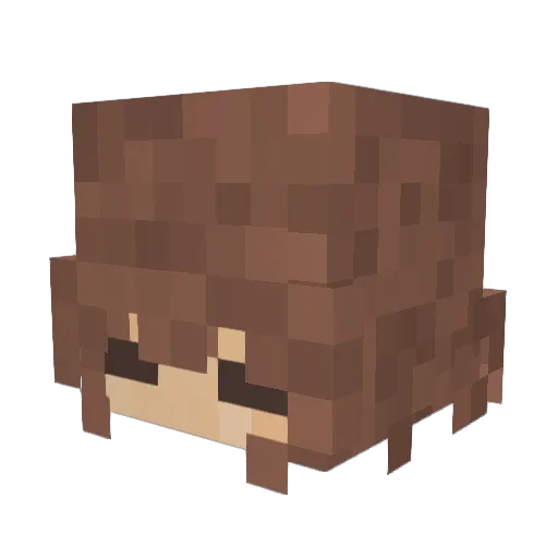 DarthSar Minecraft avatar head, 3D render