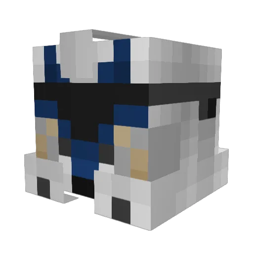 DarthSidius108 Minecraft avatar head, 3D render