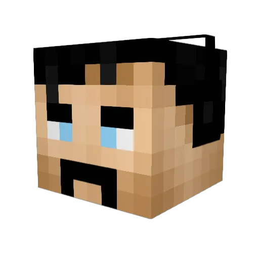 DarthTedious Minecraft avatar head, 3D render