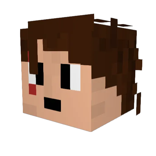 DarthTim Minecraft avatar head, 3D render