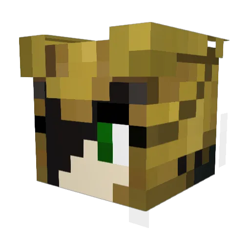 DarthVader2005 Minecraft avatar head, 3D render