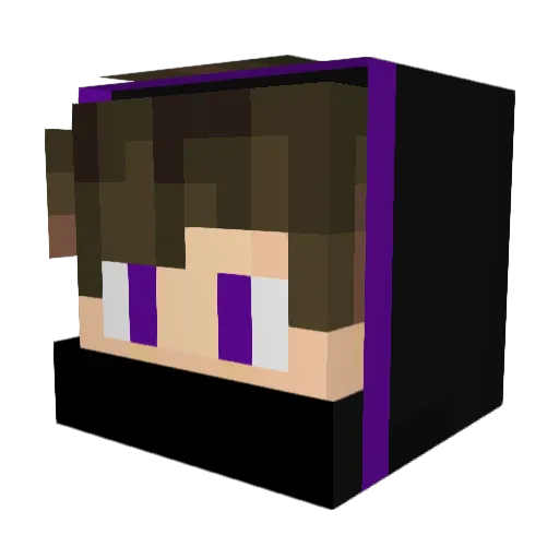 Darth_Baron Minecraft avatar head, 3D render