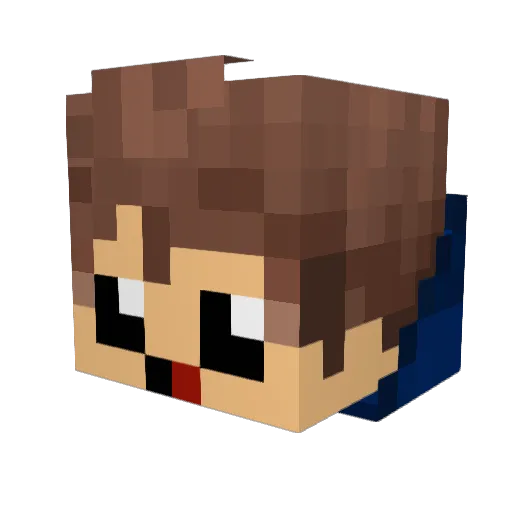 Darth_Craft1313 Minecraft avatar head, 3D render