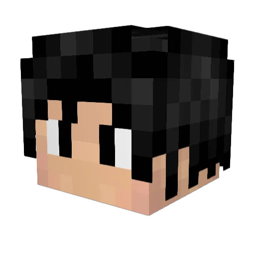 Darth_K3rmit Minecraft avatar head, 3D render