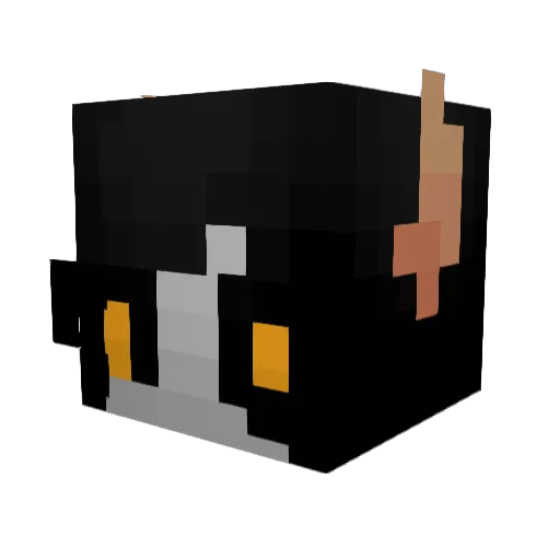 Darth_Mongoose Minecraft avatar head, 3D render