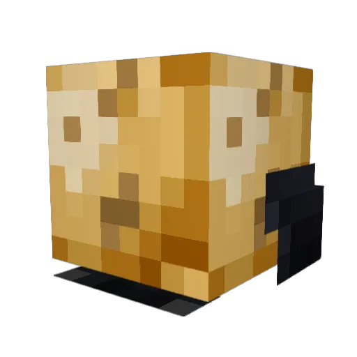 Darth_Tater02 Minecraft avatar head, 3D render