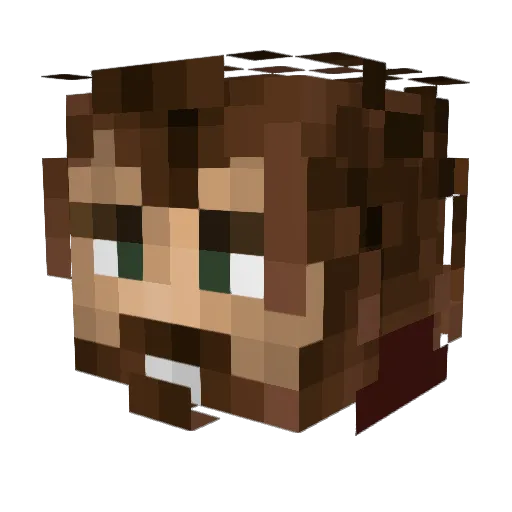 Darthaniel Minecraft avatar head, 3D render