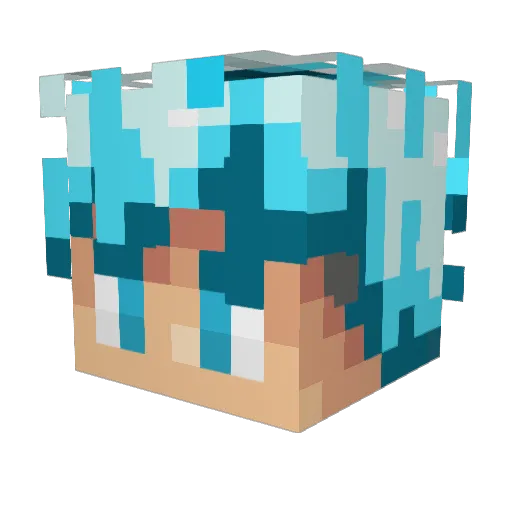 Darthay Minecraft avatar head, 3D render