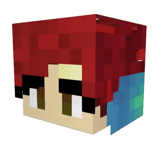 Darthduck10 Minecraft avatar head, 3D render