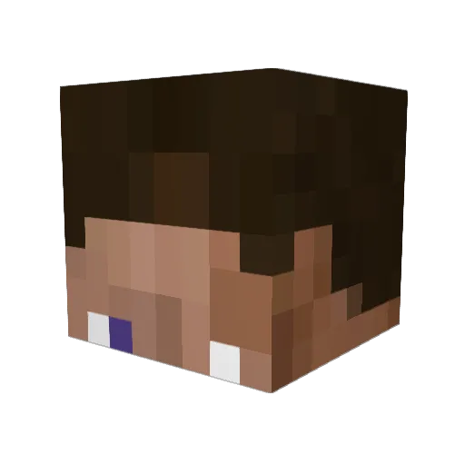 Darthmemer2 Minecraft avatar head, 3D render