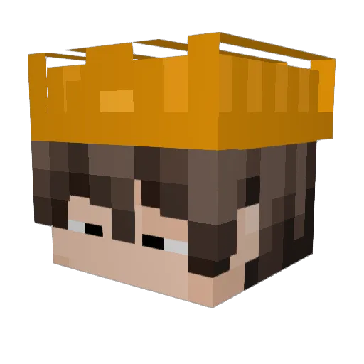 Dartmoons Minecraft avatar head, 3D render