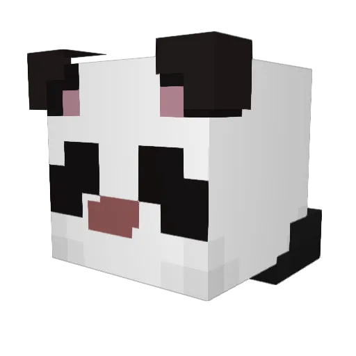 DarturVader Minecraft avatar head, 3D render