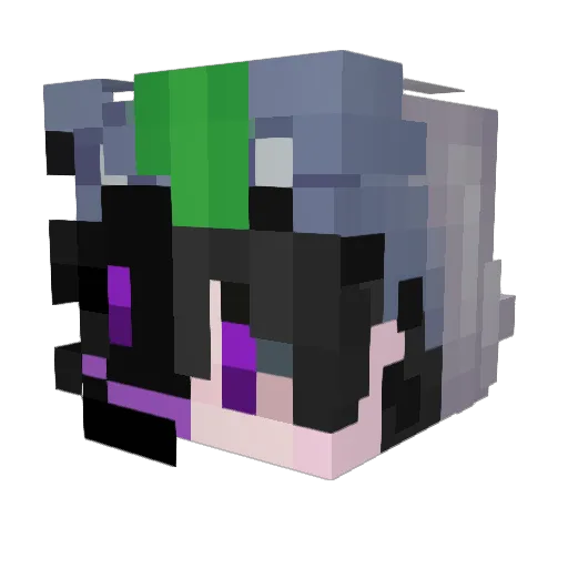 Dartus789 Minecraft avatar head, 3D render