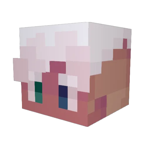 Dartyside Minecraft avatar head, 3D render