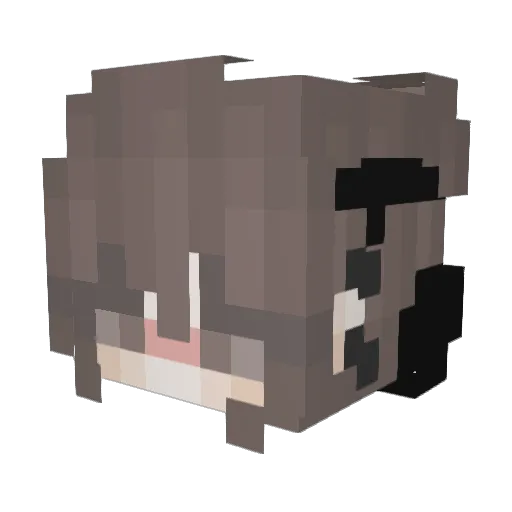 Daruiss Minecraft avatar head, 3D render