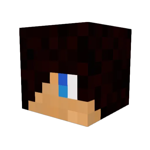 Darwin275 Minecraft avatar head, 3D render