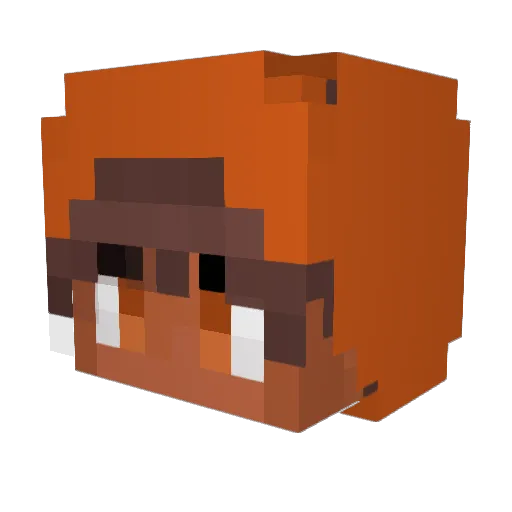 DarwinFS Minecraft avatar head, 3D render