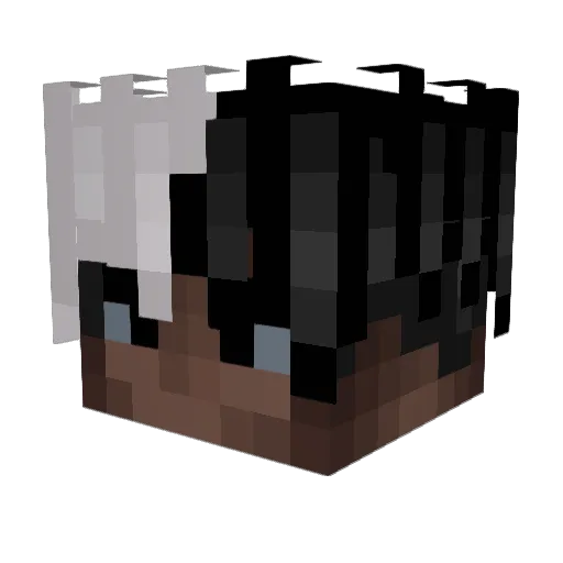 DarwinNune Minecraft avatar head, 3D render