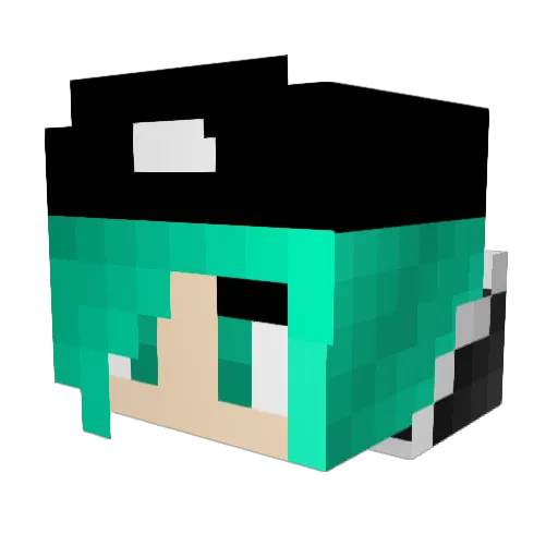 Darwinn007 Minecraft avatar head, 3D render