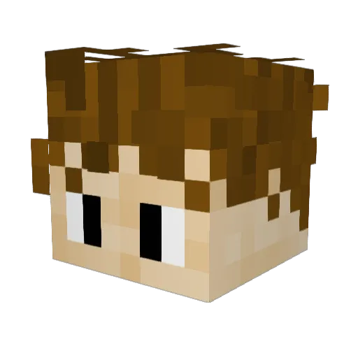 Darwinsworld82 Minecraft avatar head, 3D render
