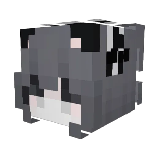 Dary06 Minecraft avatar head, 3D render