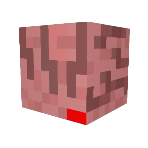 Daryl_656 Minecraft avatar head, 3D render