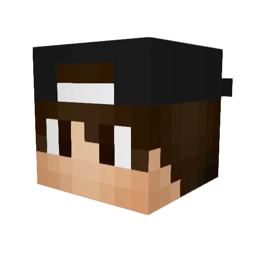 DasFloppFlamongo Minecraft avatar head, 3D render