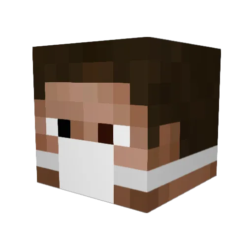 DasFloppyDisck Minecraft avatar head, 3D render