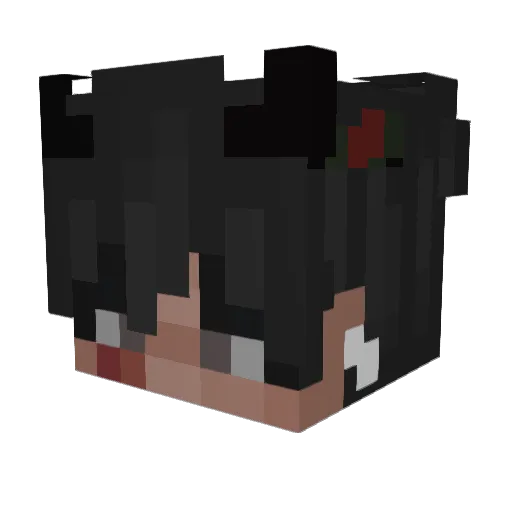 DasFlorian_ Minecraft avatar head, 3D render