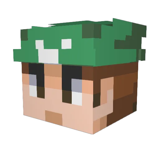 DasMetu96 Minecraft avatar head, 3D render
