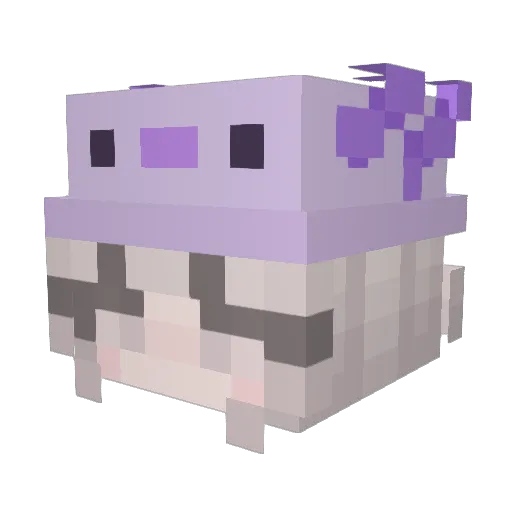 DasTacodil Minecraft avatar head, 3D render