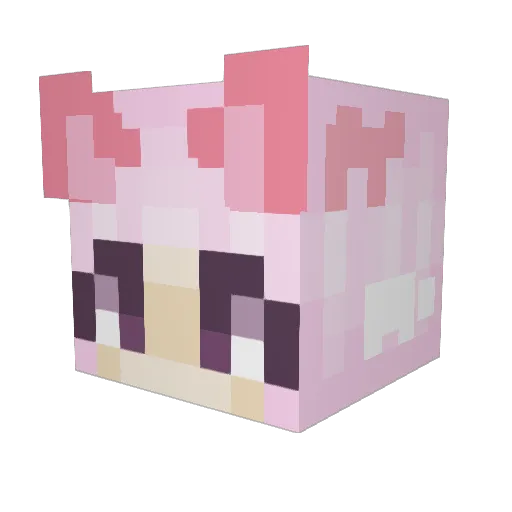 DasTinchen24 Minecraft avatar head, 3D render