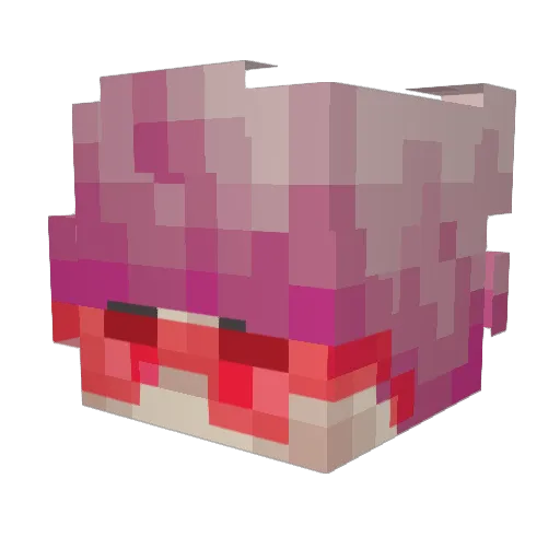 Das_Flumix Minecraft avatar head, 3D render
