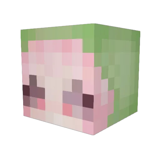 DascSwem Minecraft avatar head, 3D render